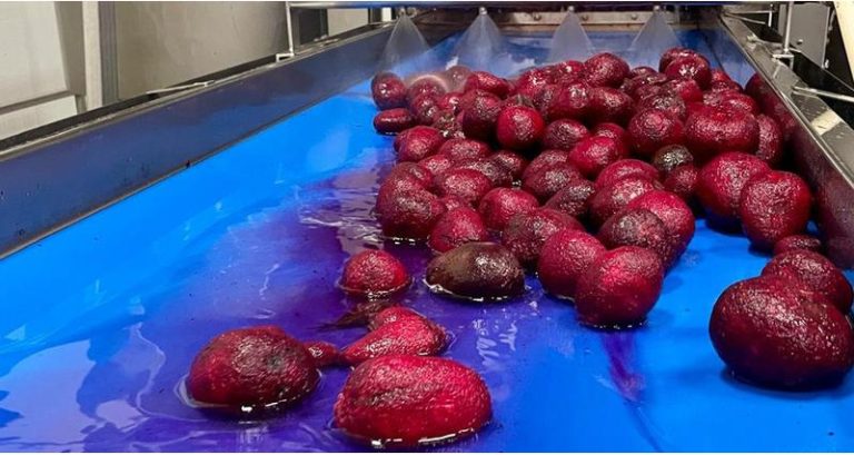 Food Manufacturing Benchmarking